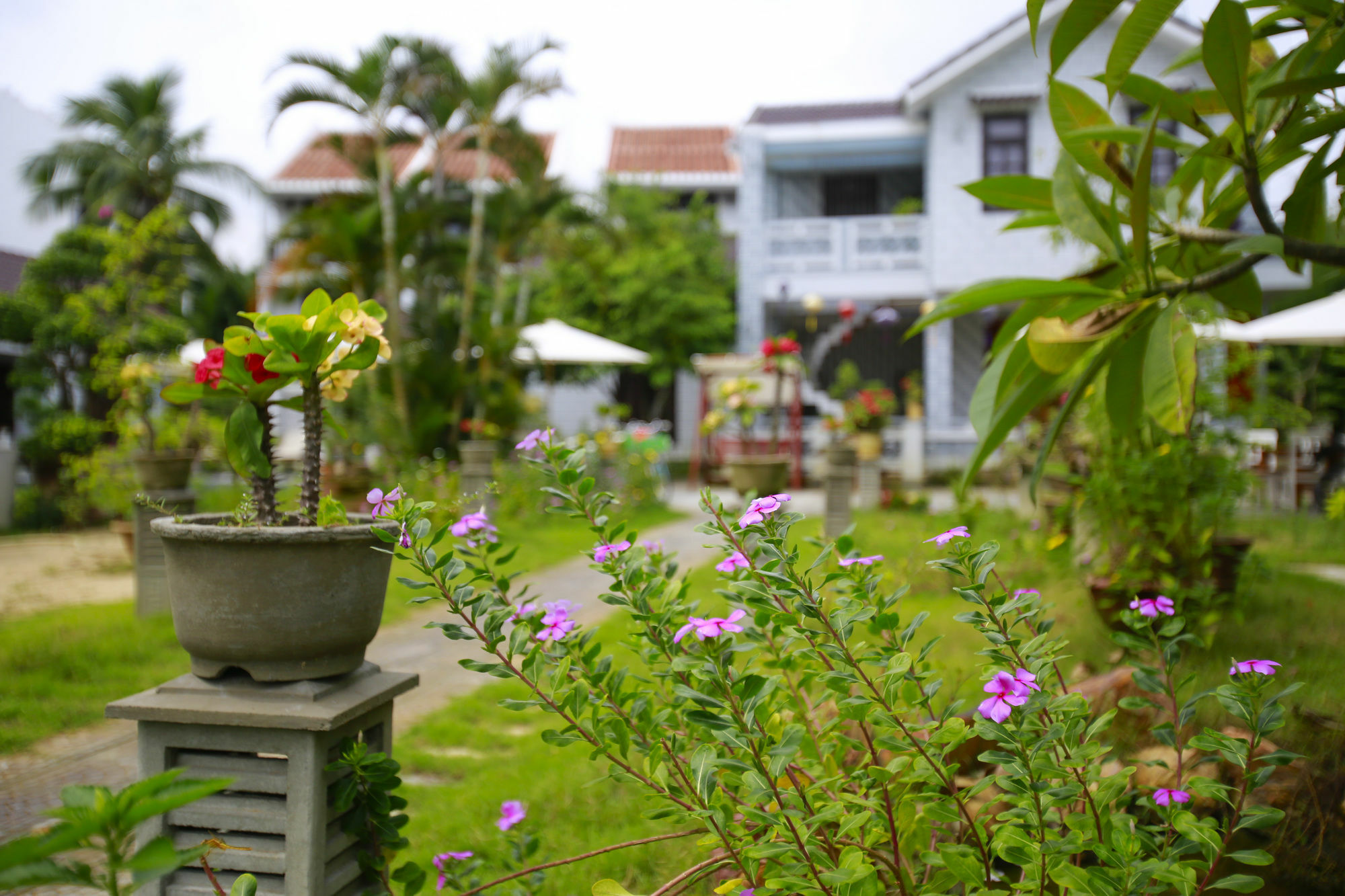 Mr Tho Garden Villas Хойан Экстерьер фото